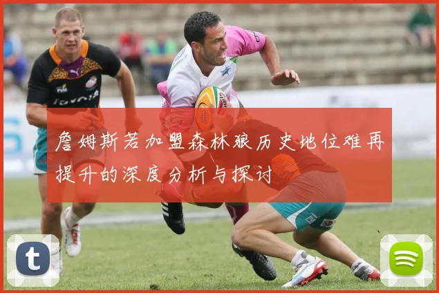 詹姆斯若加盟森林狼历史地位难再提升的深度分析与探讨