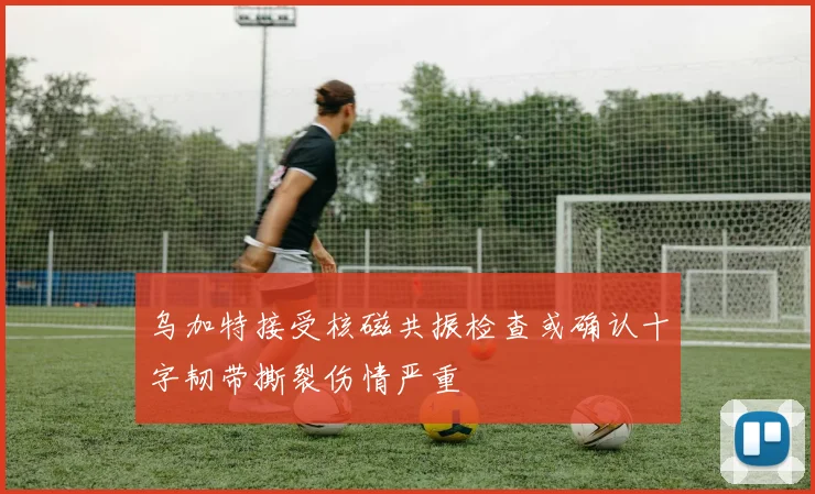 乌加特接受核磁共振检查或确认十字韧带撕裂伤情严重